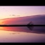 natur4
